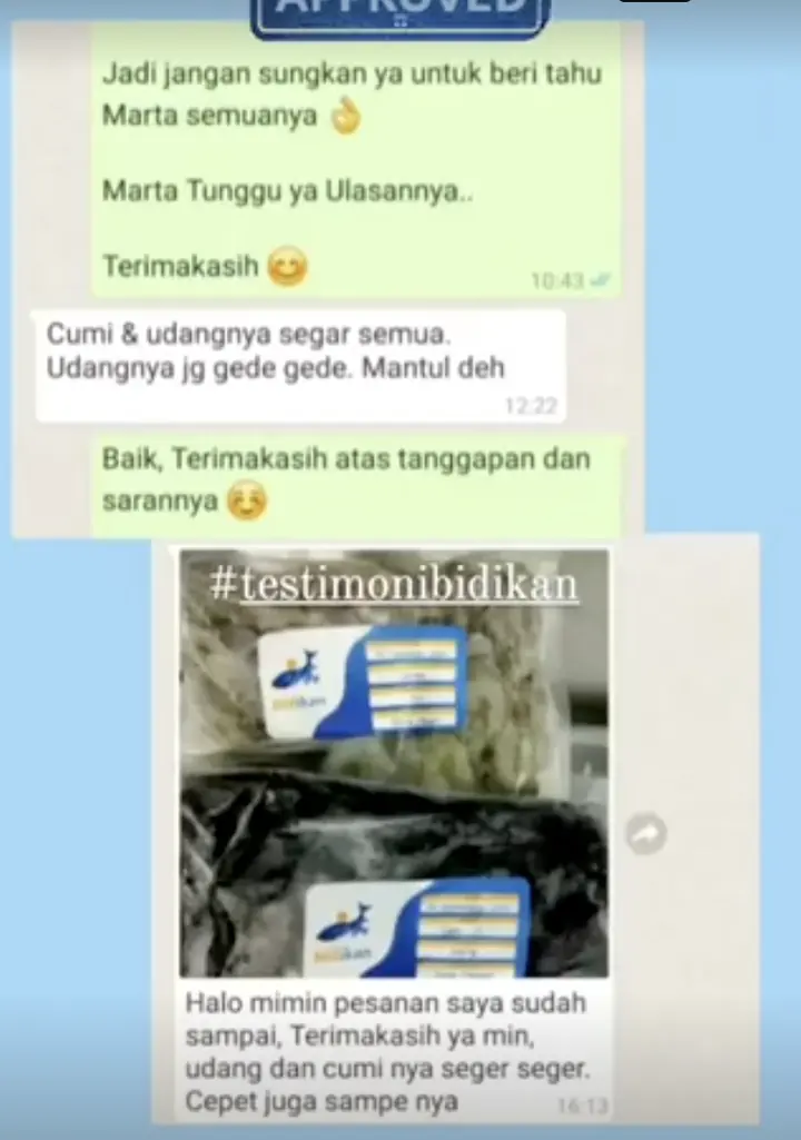 Testimoni WhatsApp pelanggan: cumi dan udangnya segar semua